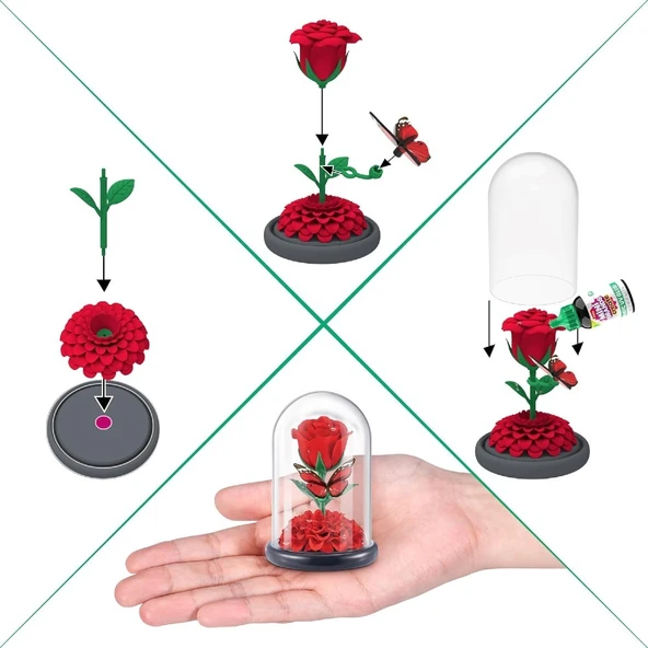 Mini Botanik Bahçe Sürpriz Paket - 6
