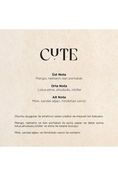 CARPEX A1 Eco Geniş Alan Koku Makinesi ve Cute A1 Koku Kartuşu 200 ML Seti - 3