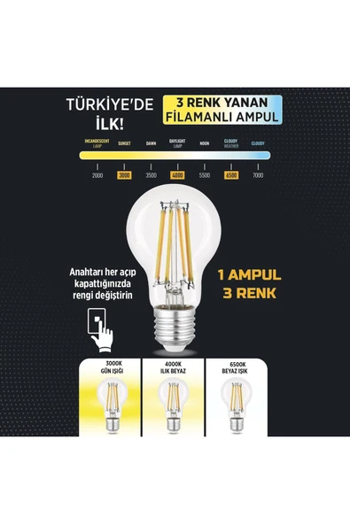 3 Renkli Led Filament Rustik Ampul 6W E27 A60 ERD-261 - 2