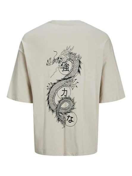 Jack Jones Ragon Erkek Tişört 12273504 - 2