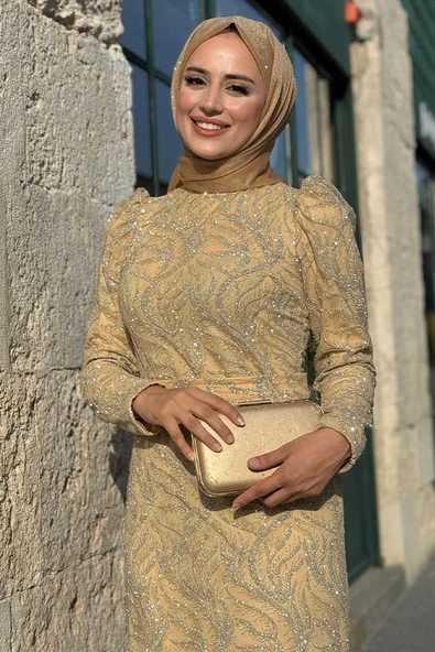 Dal Desenli Simli Tül Büyük Beden Abiye Elbise 1140-1 Gold - Resim 4