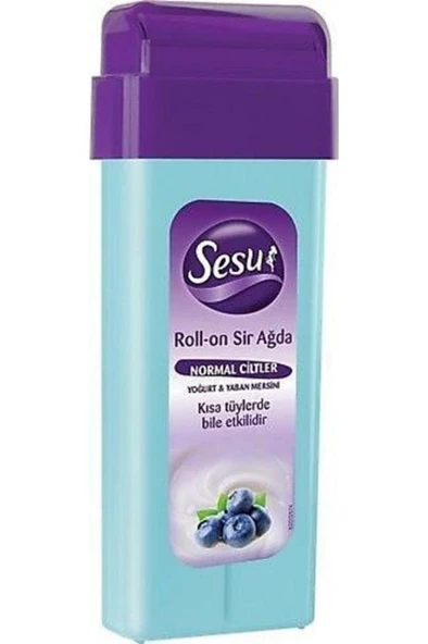 Sesu Kartuş Normal Ciltler Yaban Mersinli 100ml