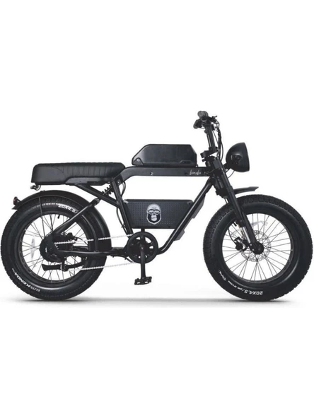 Ape Ryder Bonobo 250 W Siyah İki Kişilik Elektrikli Bisiklet