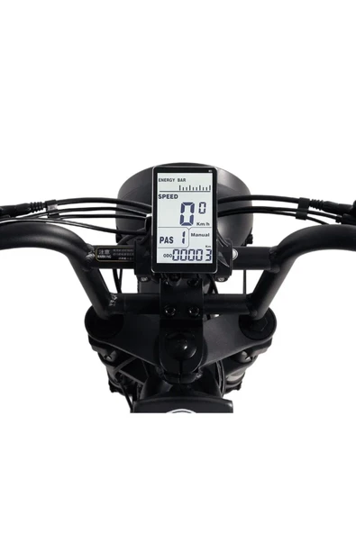 Ape Ryder Bonobo 250 W Sarı İki Kişilik Elektrikli Bisiklet - 7