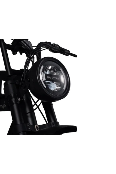 Ape Ryder Bonobo 250 W Sarı İki Kişilik Elektrikli Bisiklet - 6