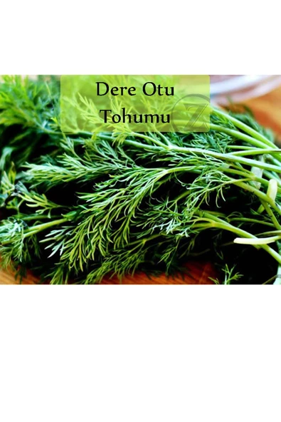 6 Paket Tohum No2 Maydanoz Tohumu Dere Otu Tere Roka Tohumu Kırmızı Marul Kıvırcık Tohumu Yeşillik - 7