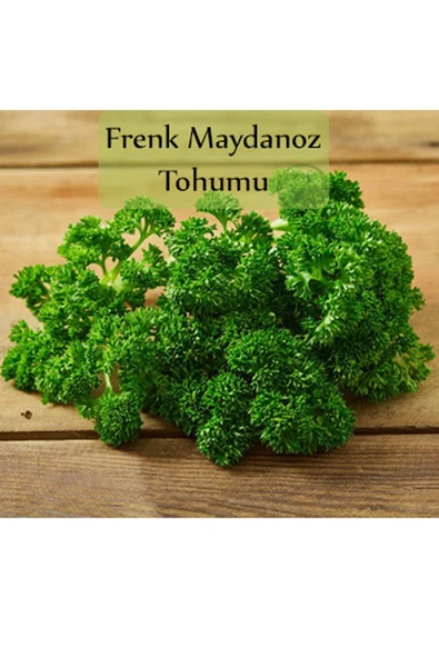 Kıvırcık Frenk Maydanoz Tohumu 1 Paket 10 Gr. Frenk Maydanozu Yüksek Verimli Paket Tohum