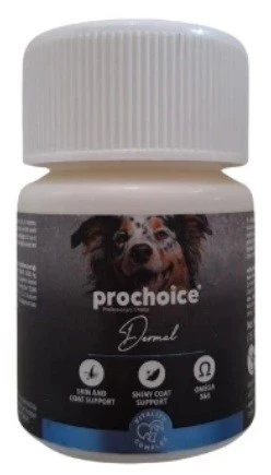 Prochoice Dermal Deri ve Tüy Sağlığı Destekleyici Köpekler için Tablet