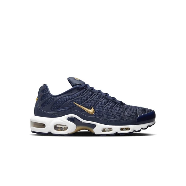 Nike Air Max Plus FFF