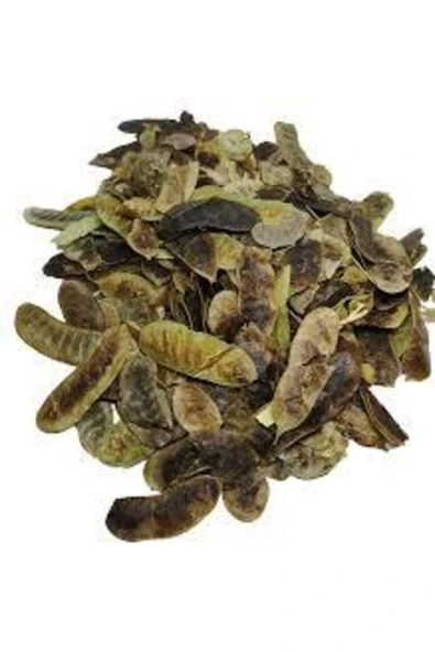 Açlık Otu(devegözü) 500 Gr - 2
