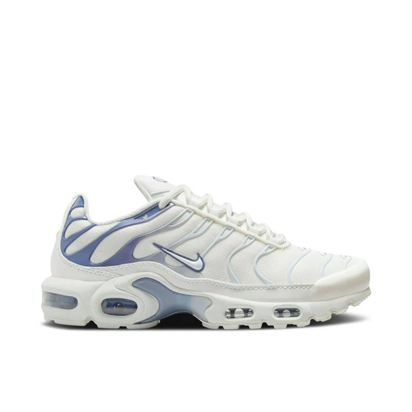 Nike Air Max Plus Ashen Slate