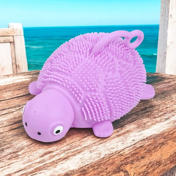 LED IŞIKLI KAPLUMBAĞA OYUNCAK MOR KAPLUMBAĞA STRES OYUNCAĞI YENİ NESİL MOR YUMUŞAK YOYO KAPLUMBAĞA ürün görseli