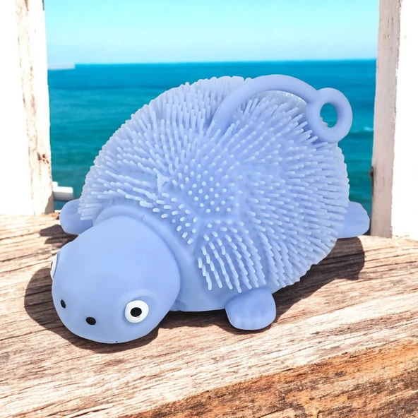 LED IŞIKLI KAPLUMBAĞA OYUNCAK MAVİ KAPLUMBAĞA STRES OYUNCAĞI YENİ NESİL MAVİ YUMUŞAK YOYO KAPLUMBAĞA ürün görseli