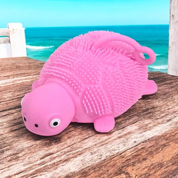LED IŞIKLI KAPLUMBAĞA OYUNCAK PEMBE KAPLUMBAĞA STRES OYUNCAĞI YENİ NESİL YUMUŞAK YOYO KAPLUMBAĞA ürün görseli