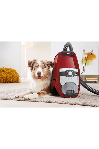 Miele Blizzard Cx1 Cat&Dog Mango Kırmızı - SKCF5 - Resim 7