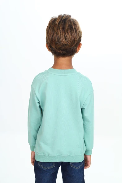 Toontoy Erkek Çocuk Baskılı Sweatshirt - 11