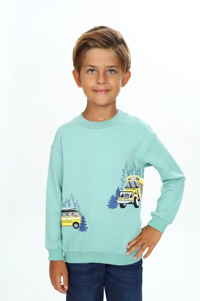 Toontoy Erkek Çocuk Baskılı Sweatshirt - 12