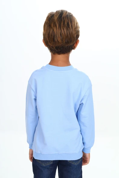 Toontoy Erkek Çocuk Baskılı Sweatshirt - 9