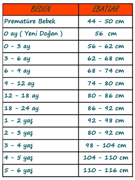 Aslan Desenli 2'li % 100 Pamuk Erkek Bebek Takımı - 4