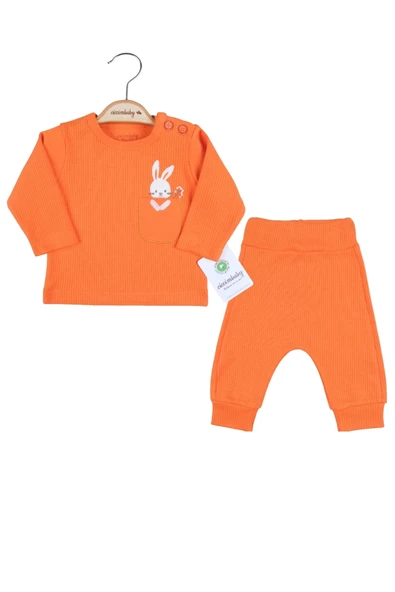 Cepli Tavşan Nakışlı % 100 Pamuk 2'li Kız Bebek Takımı ürün görseli 1