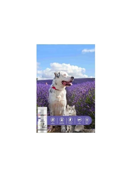 Supravet Dry Shampoo Lavanta Özlü Kedi Köpek Toz Şampuan 150ml - 2