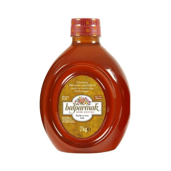 Balparmak Yayla ve Ova Çiçek Balı 2 KG x 6 Adet (Toplam 12 KG)