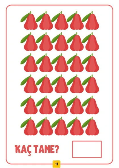 Çocuklara Meyvelerle Saymayı Öğreten YAZ-SİL Kitabı - Resim 5