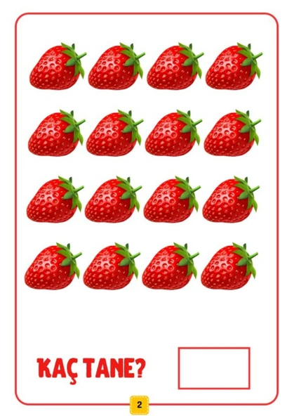 Çocuklara Meyvelerle Saymayı Öğreten YAZ-SİL Kitabı - Resim 4