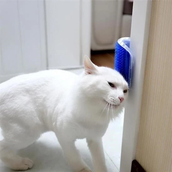 Miracle Omni®  Pratik Kedi Tüyü Kaşıma Ve Tarama Aparatı Duvara Monte Kaşıma Aleti