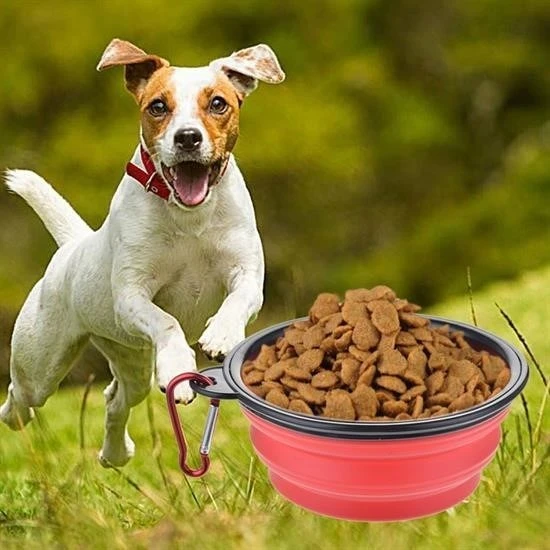 Miracle Omni® Katlanabilir Kedi Köpek Mama ve Su Kabı Köpek Oyuncağı