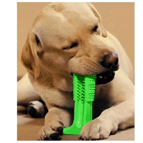 Miracle Omni® Köpek Diş Temizleyici ve Kaşıyıcı Sağlıklı Küçük Boy Oyuncak - 7