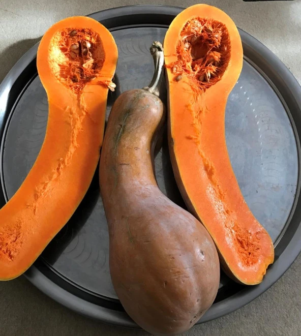 Yerli Ampul Balkabağı Tohumu 10 Adet ürün görseli 1