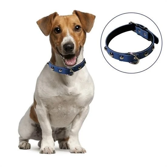 Miracle Omni® Yumuşak Dokulu Deri Köpek Gezdirme Boyun Tasması (Large)