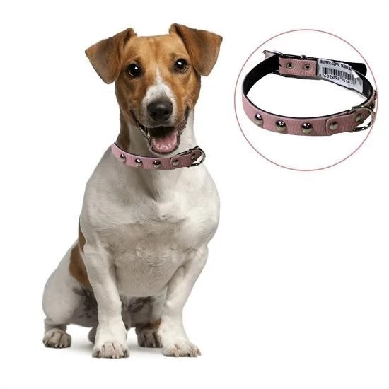 Miracle Omni® Yumuşak Dokulu Deri Köpek Gezdirme Boyun Tasması Medium