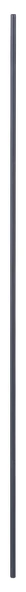Bosch - Ekstra Uzun Kılavuz Çubuk 8*800 mm