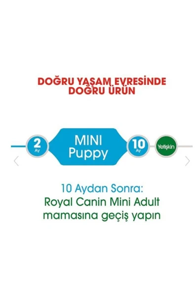Mini Puppy Küçük Irk Yavru Köpek Maması 4kg - 4