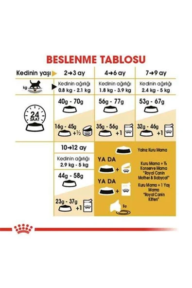 Kitten British Shorthair Yavru Irk Kedi Maması 2 Kg - Resim 5