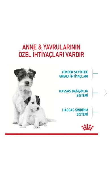 Mini Starter Mother&babydog Küçük Irk Yavru Köpek Maması 4kg - Resim 3