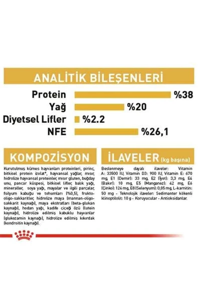 Kitten British Shorthair Yavru Irk Kedi Maması 2 Kg - Resim 2