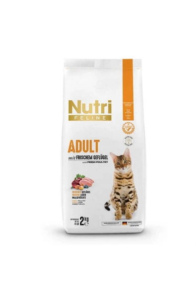 Nutri Feline Nutri Glutensiz Kümes Hayvanlı Düşük Tahıllı Yetişkin Kedi Maması 2 kg