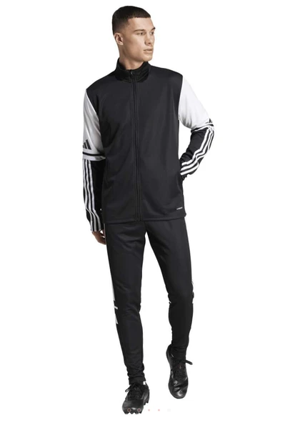 adidas Sq25 Training Erkek Dik Yaka Ceket JE2774 - 5