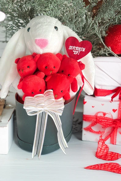 SOLE Premium Özel Hediye Kutusunda 45 cm Beyaz Bunny Tavşan ve 5 Adet Kırmızı Peluş Ayıcık Buketi - Resim 7