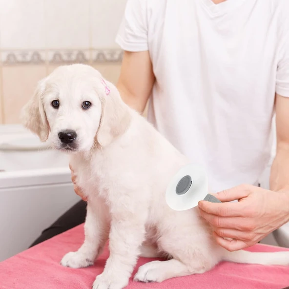 Kedi Köpek Tüy Toplayıcı  Pet Tarak 20 cm - 2