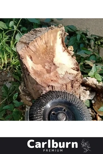 Premium Oyma Şekillendirme Titanyum Kaplama Plastik Kauçuk Oyma Taşlama Makine Uyumlu Ahşap Eğe Disk - 4