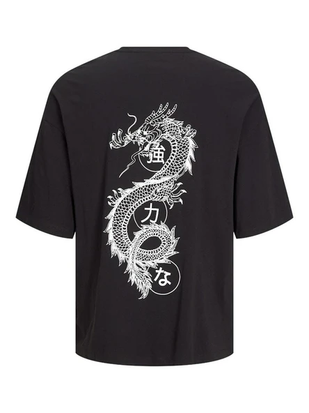 Jack Jones Ragon Erkek Tişört 12273504 - 1