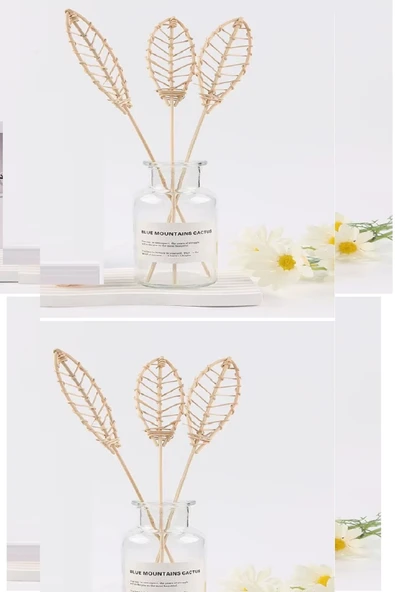 3 Tek Adet 3 Model Aromaterapi Koku Dağıtıcı Rattan Şişe Ahşap Difüzör Çubuk (spiral-yaprak-dalgalı) - 4