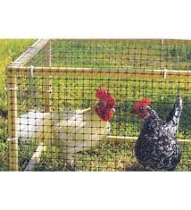 Plastik Döküm Tel Çit File 1MTBoy Kuş Balkon Kedi Pencere Kümes Bahçe Koruma - 4