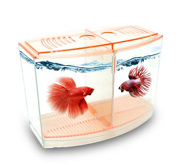 Atlantik Betalık 9X19X14Cm 1800 Ml Beta Tank - 2