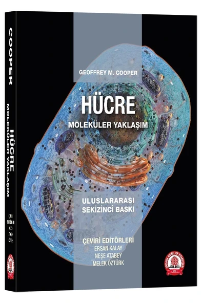 Hücre Moleküler Yaklaşım ürün görseli