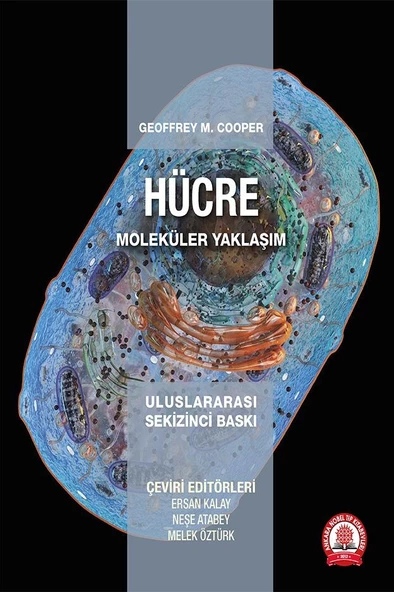 Hücre Moleküler Yaklaşım - Resim 2
